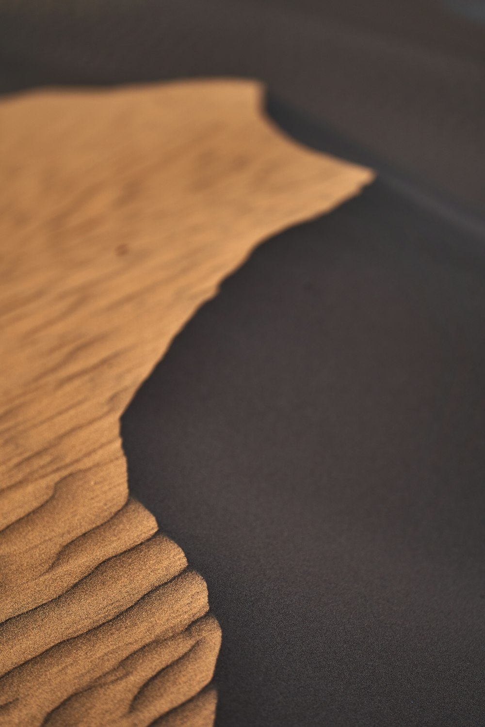 Un primo piano di una duna di sabbia su una spiaggia