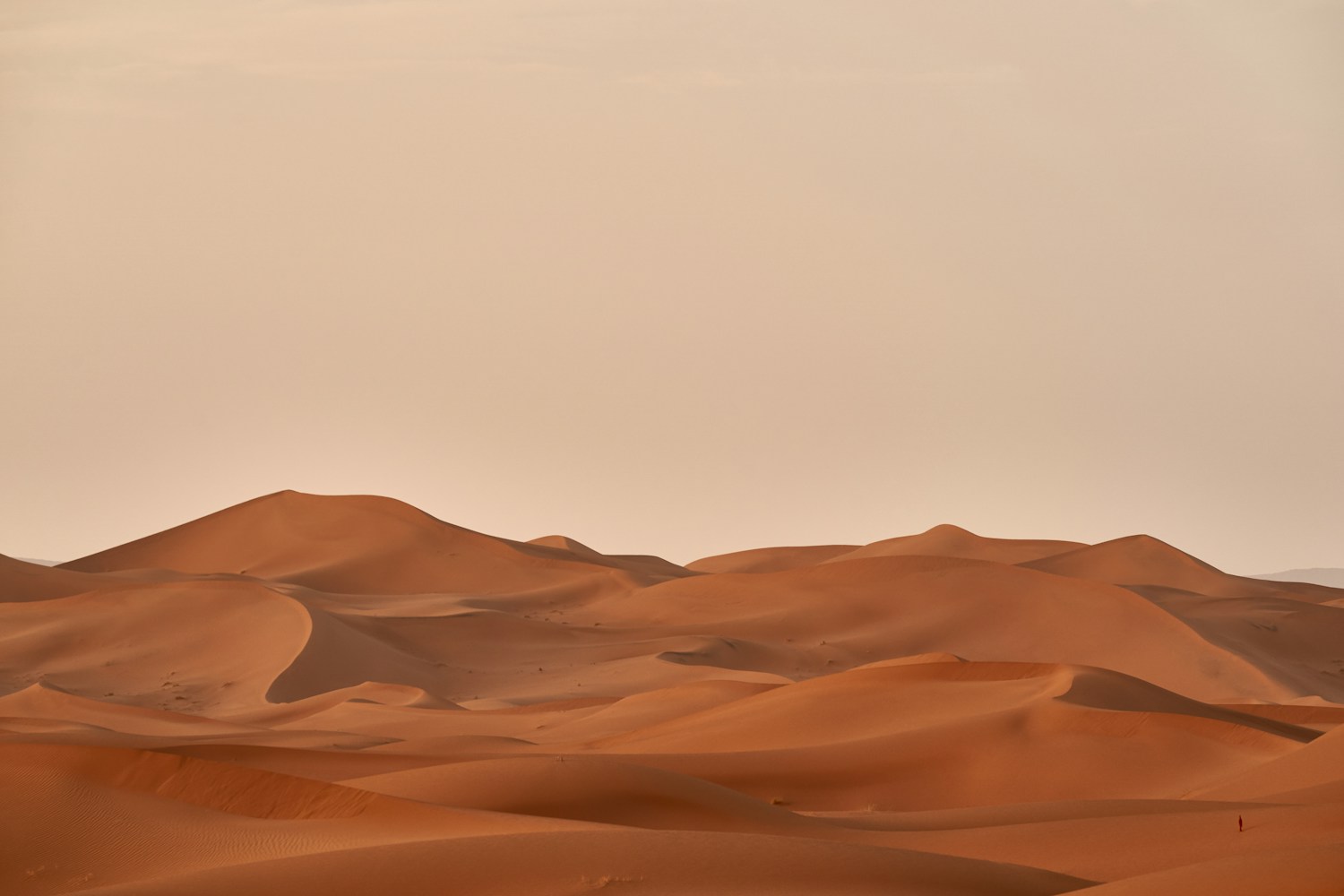Camel ride across the dunes