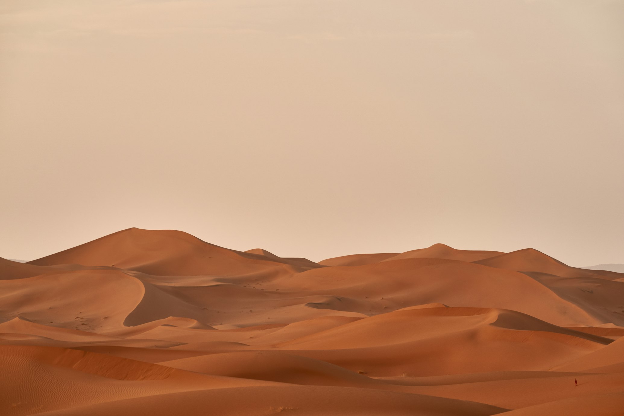 Desert Safari