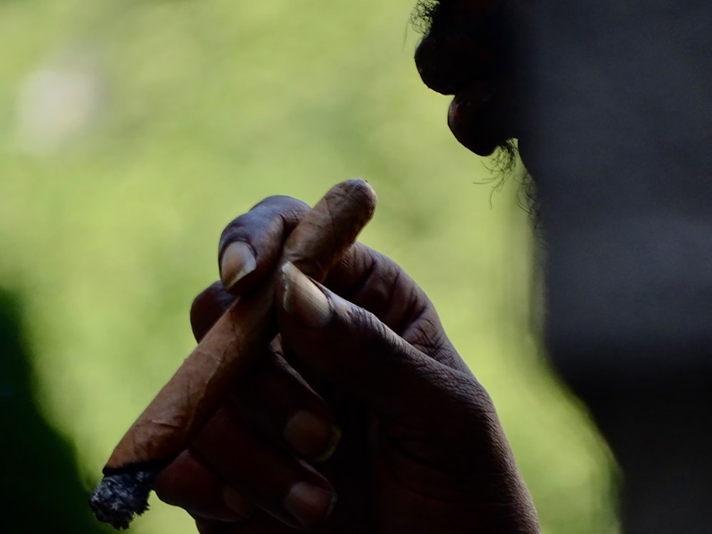 person holding tobacco