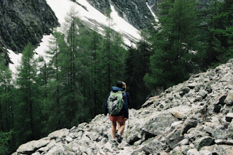 A rugged hiking backpack resting on a rocky trail surrounded by pine trees.