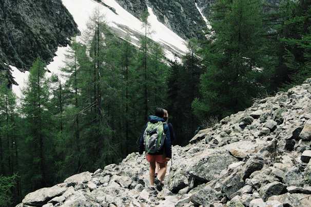A rugged hiking backpack resting on a rocky trail surrounded by pine trees.