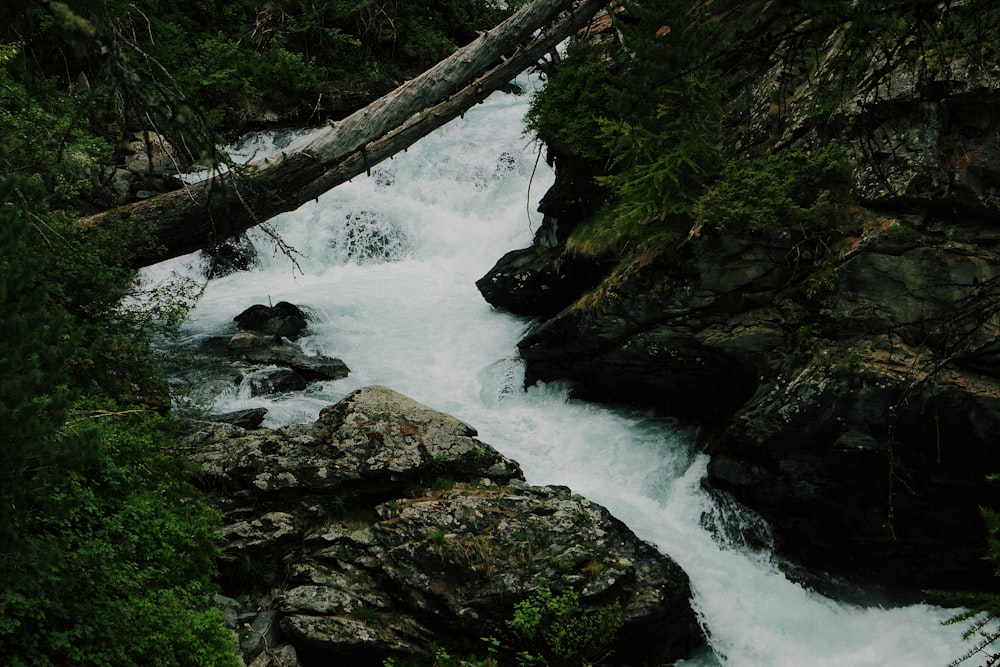 body of water surrounded by rocks