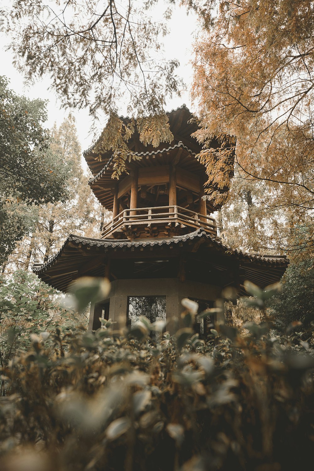 brown and gray tower surrounded with trees