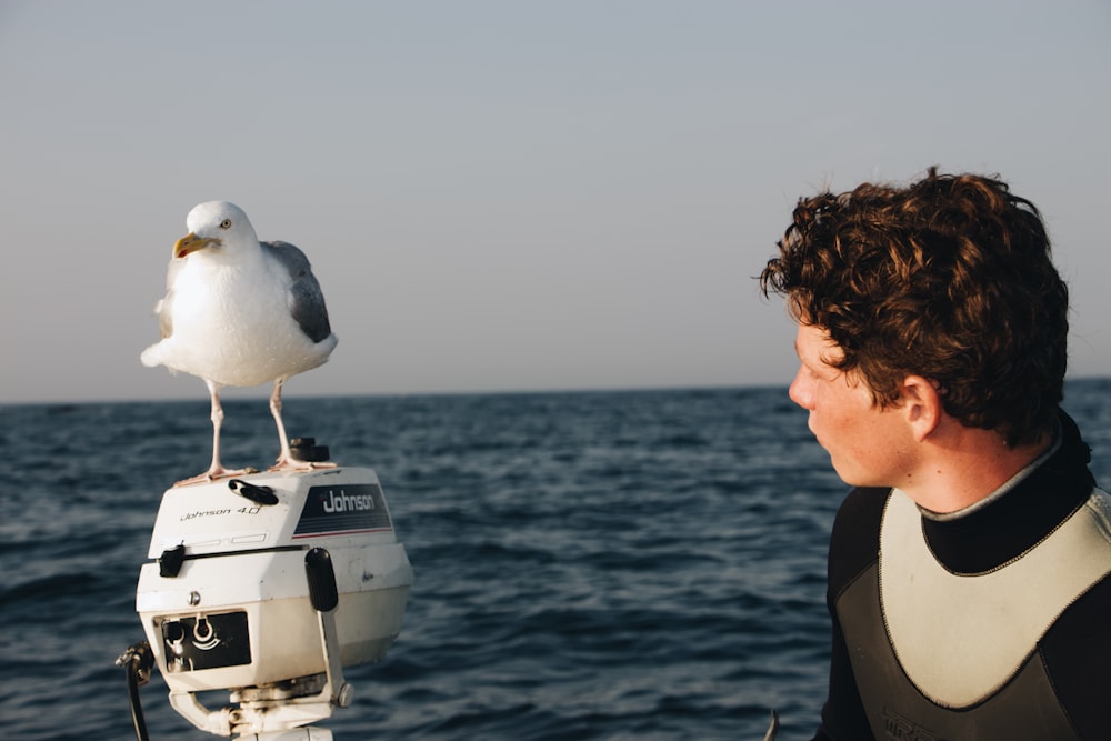 white and black bird fetched on black outboard motor