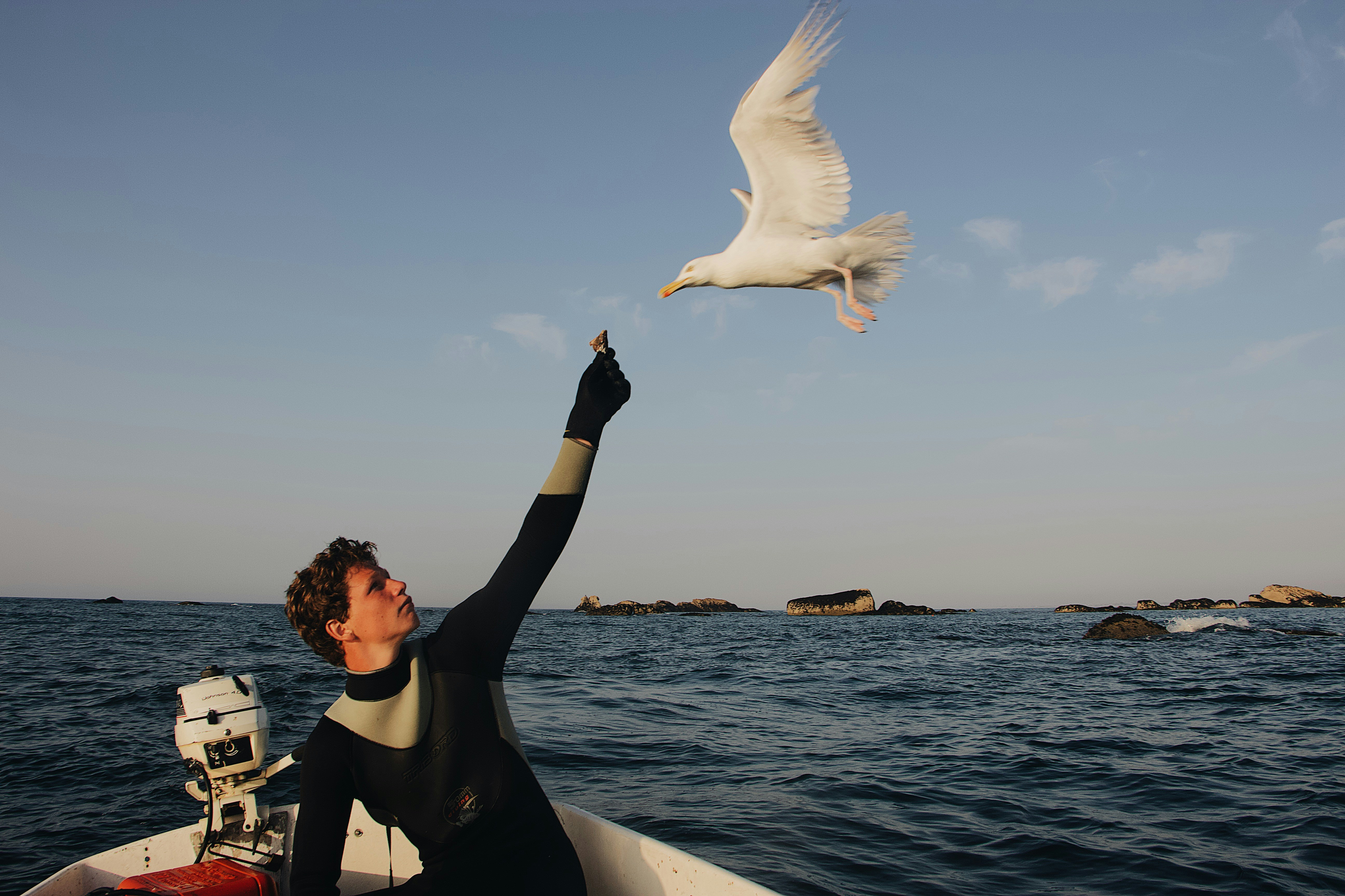 Life is Vulnerable, Like a bird