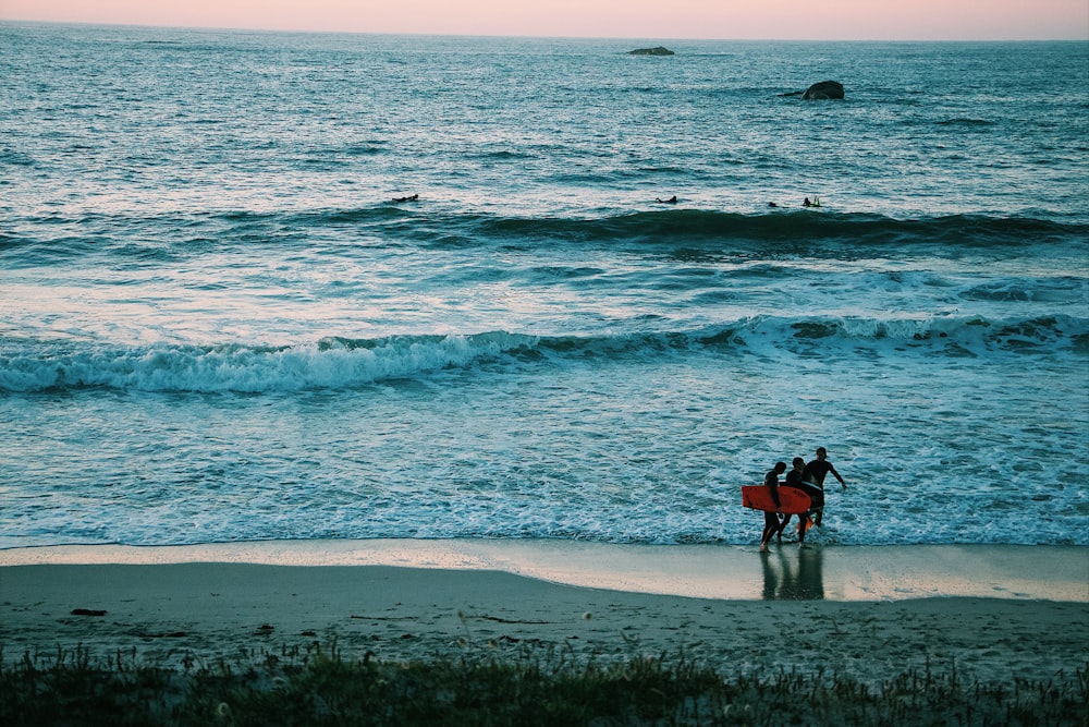 two person with surfboard walking on seashore