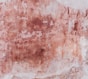 a red and white wall with a brown and white painting on it