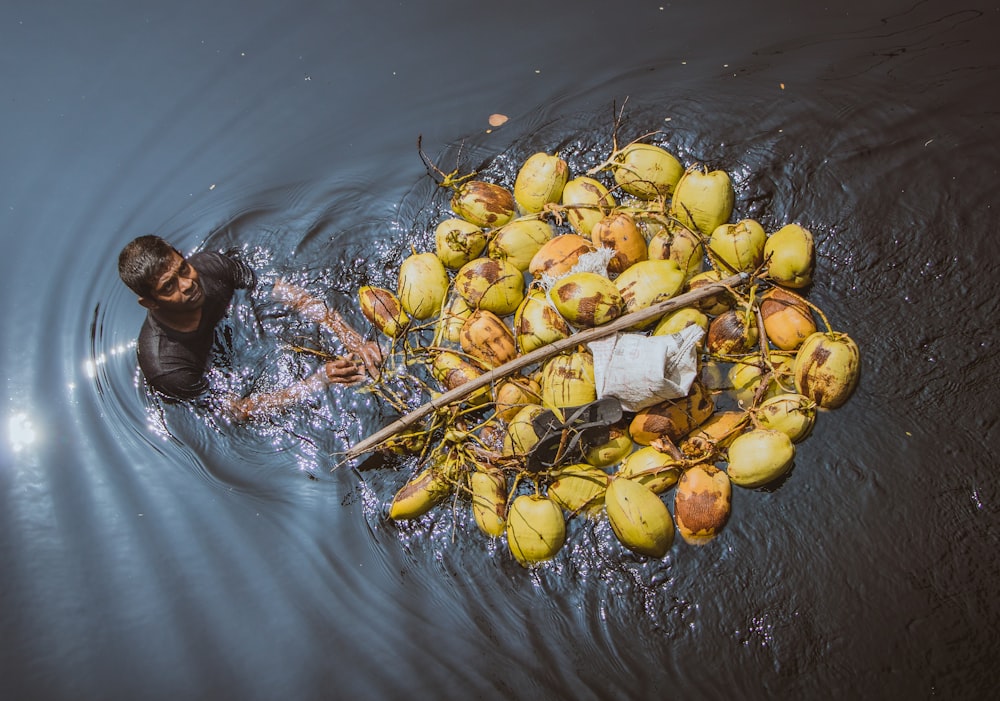 pile of coconuts