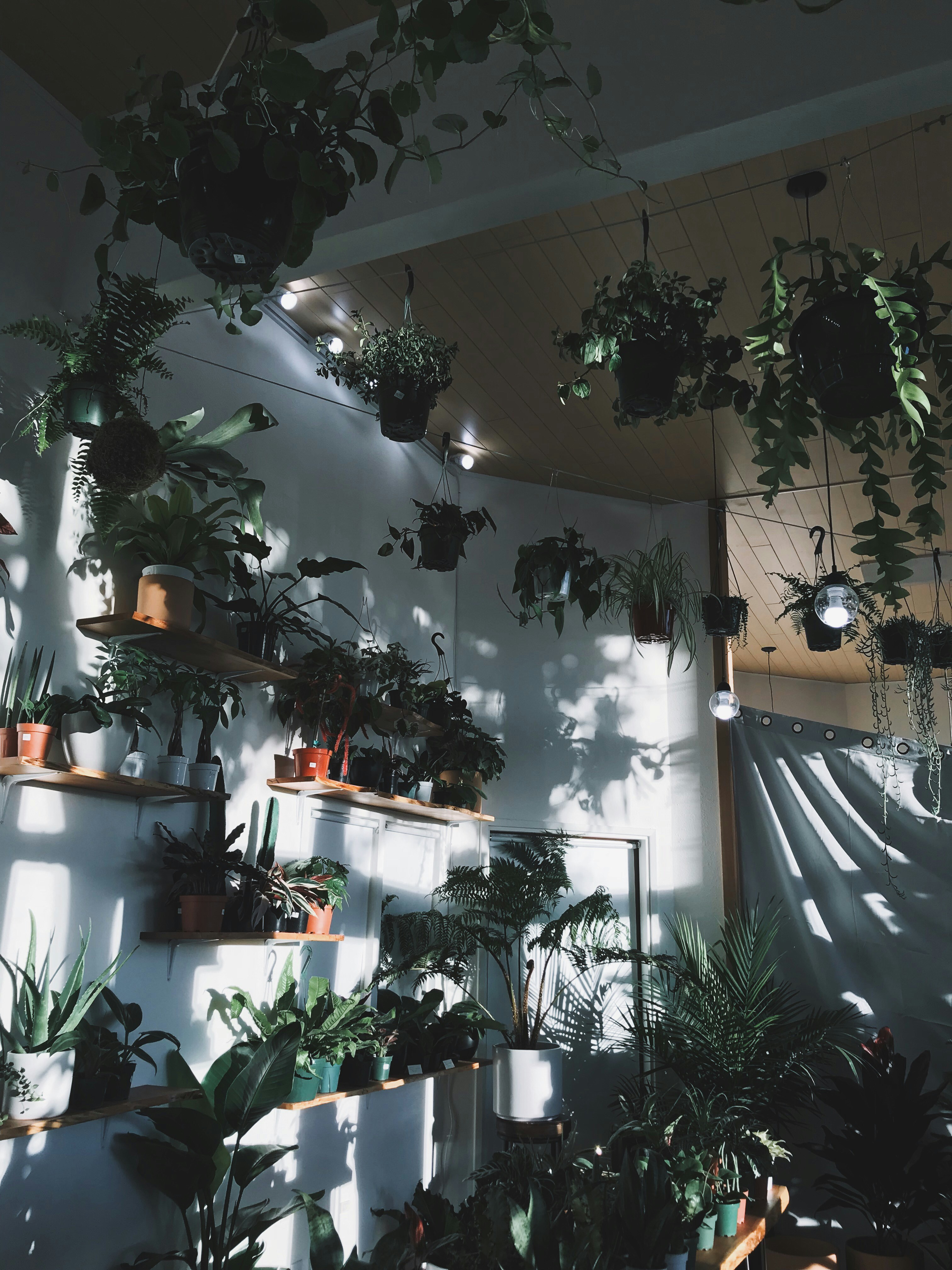 Photo by capturedby_kiana