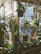 A variety of potted plants are arranged indoors, with several hanging from macramé plant hangers in front of a large window. Sunlight streams in, casting shadows and illuminating the greenery. Succulents and larger leafy plants are visible, contributing to a serene, natural atmosphere.