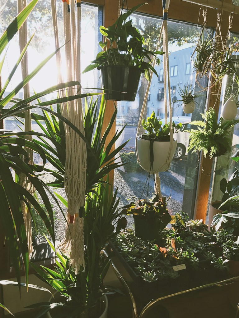 手工植物挂架