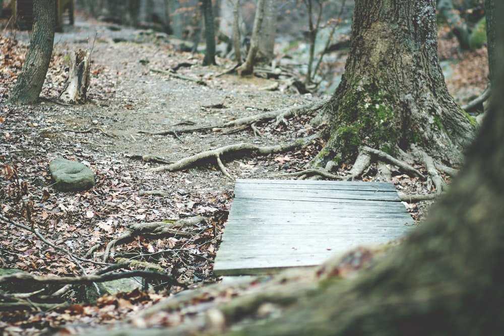 Tavola rettangolare di legno grigia vicino agli alberi