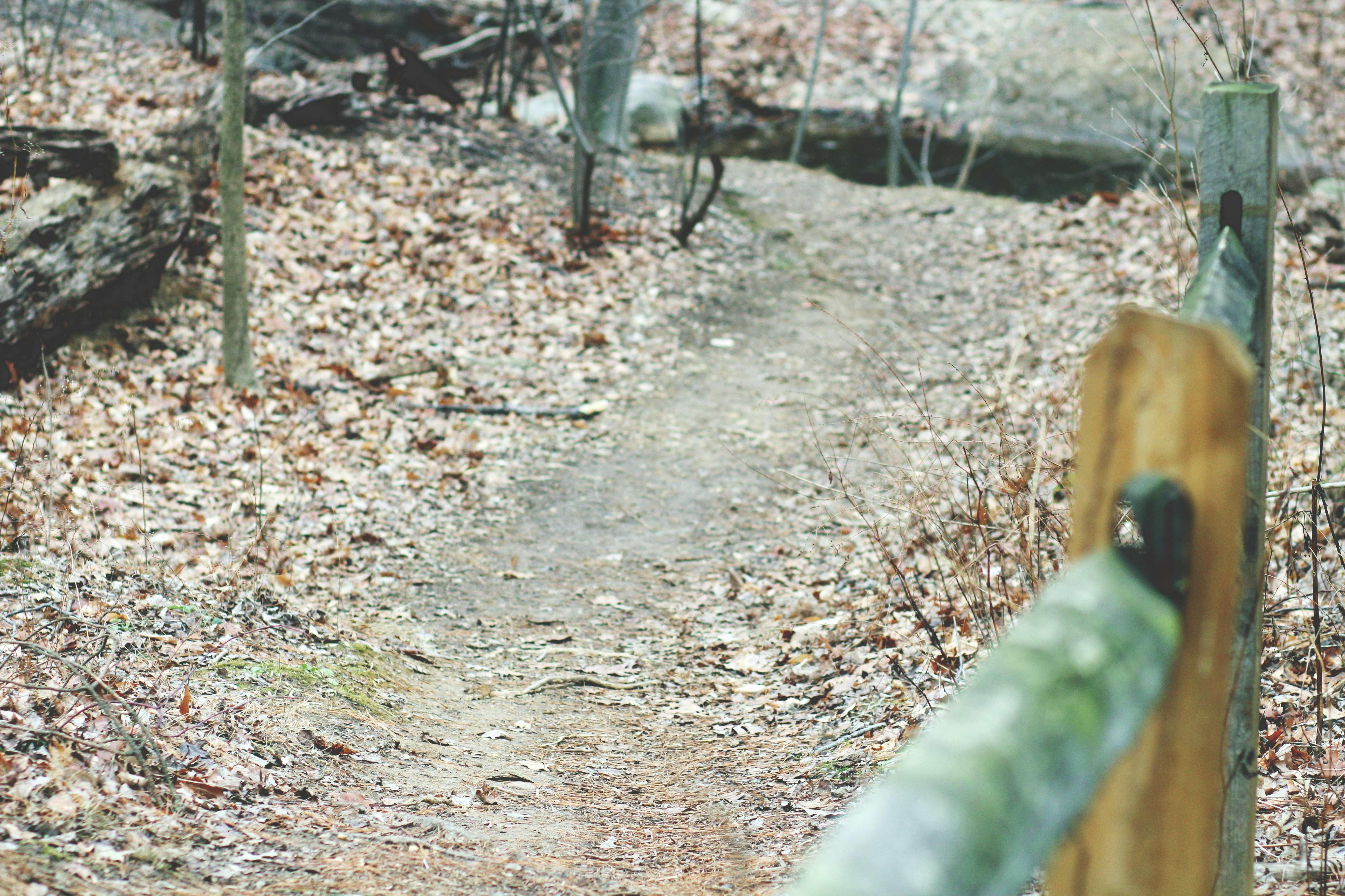 Tisza-tavi miniZoo