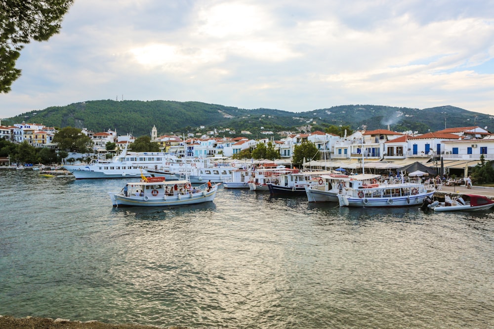 boats on body of water near buildings