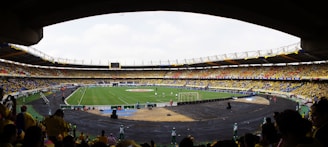 A large football stadium filled with spectators, with a green field in the center where a match is taking place. The crowd is mostly wearing yellow shirts, with some people wearing other colors. The stadium has large stands with seats, and numerous advertising banners are visible. The atmosphere appears lively and energetic.