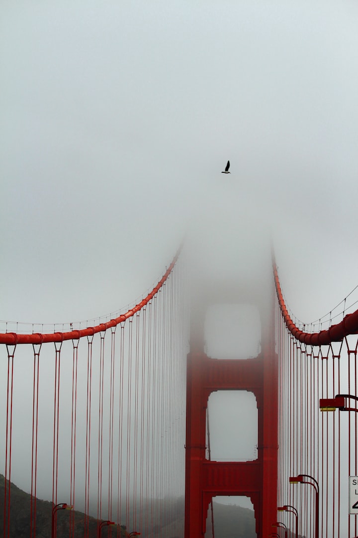 The Water Under the Bridge