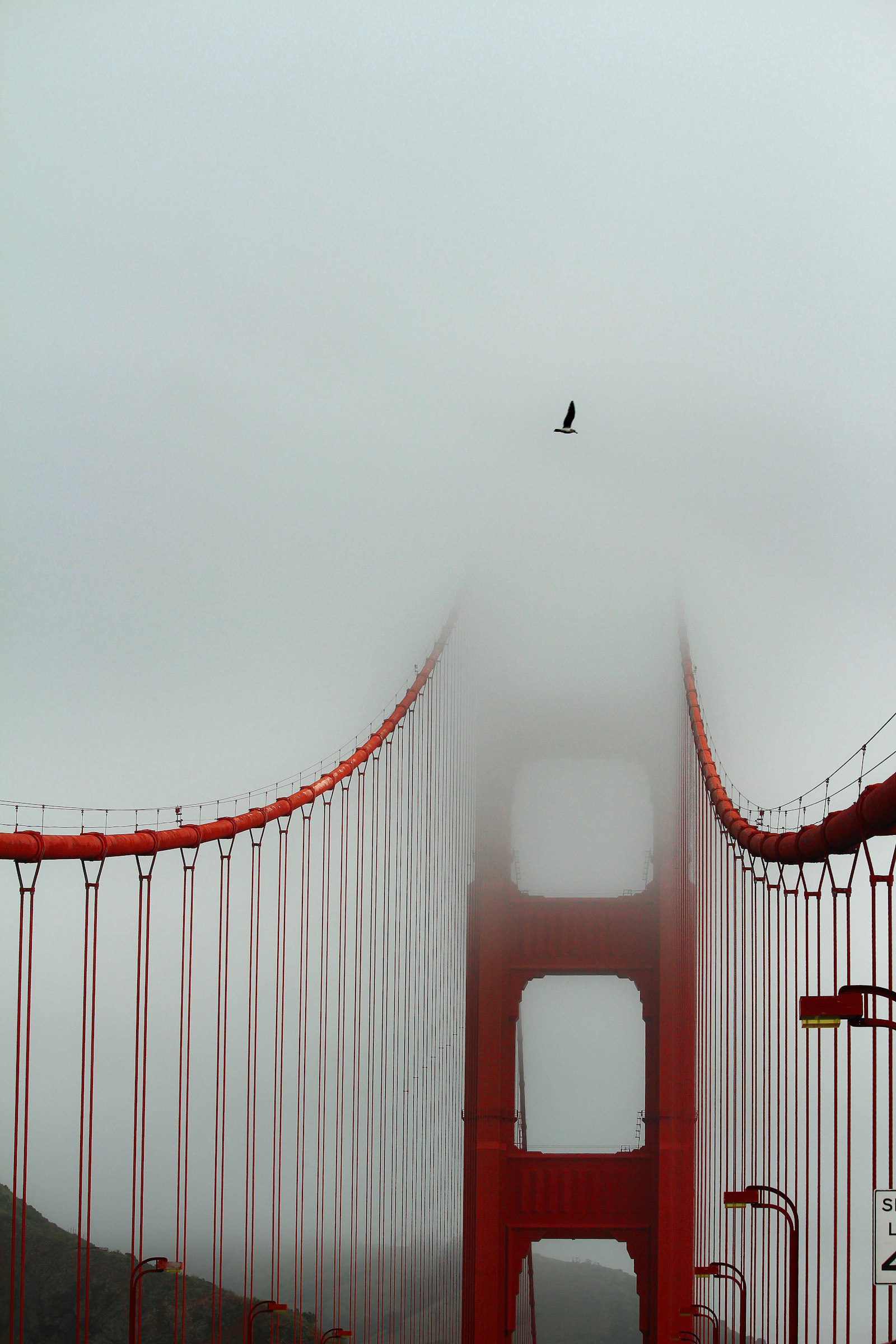 Canon EF-S 55-250mm F4-5.6 IS STM sample photo. Red bridge at daytime photography