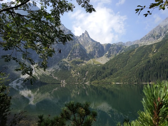 Entry point to TPN - Palenica Białczańska things to do in Tatra County