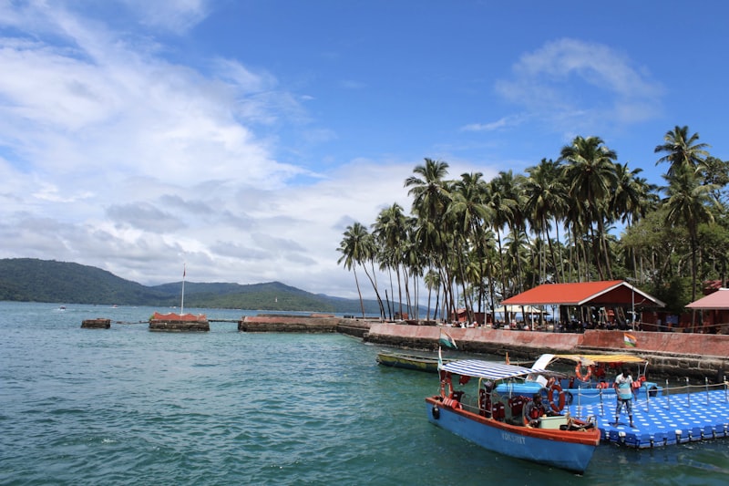 Radhanagar Beach