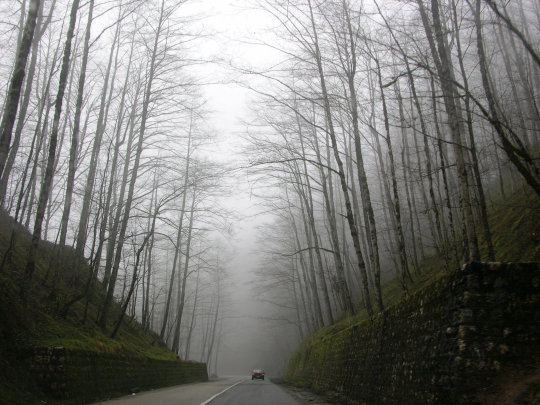 travelers stories about Forest in Abbasabad - Kelardasht Road, Iran