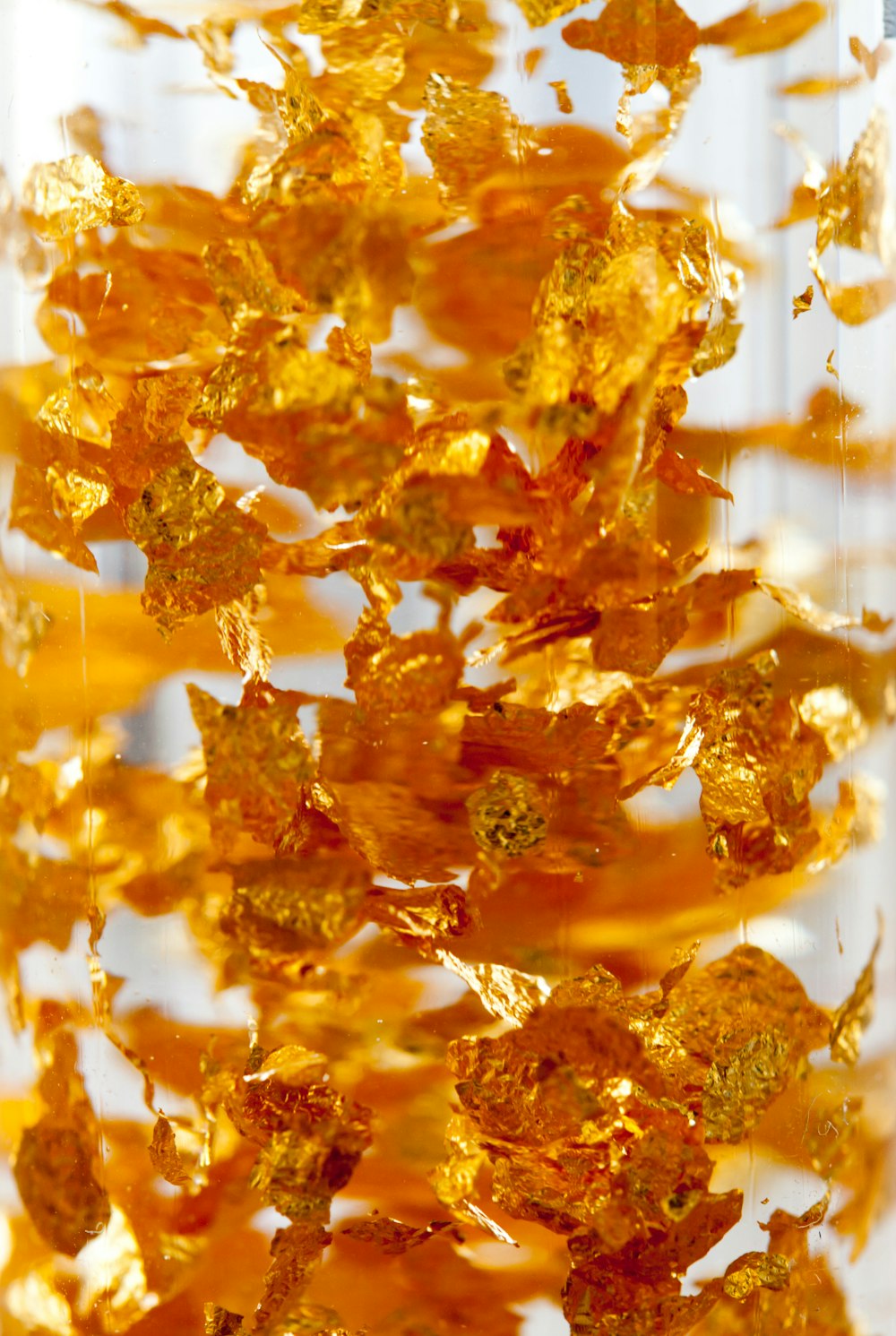 a close up of a bunch of orange flowers