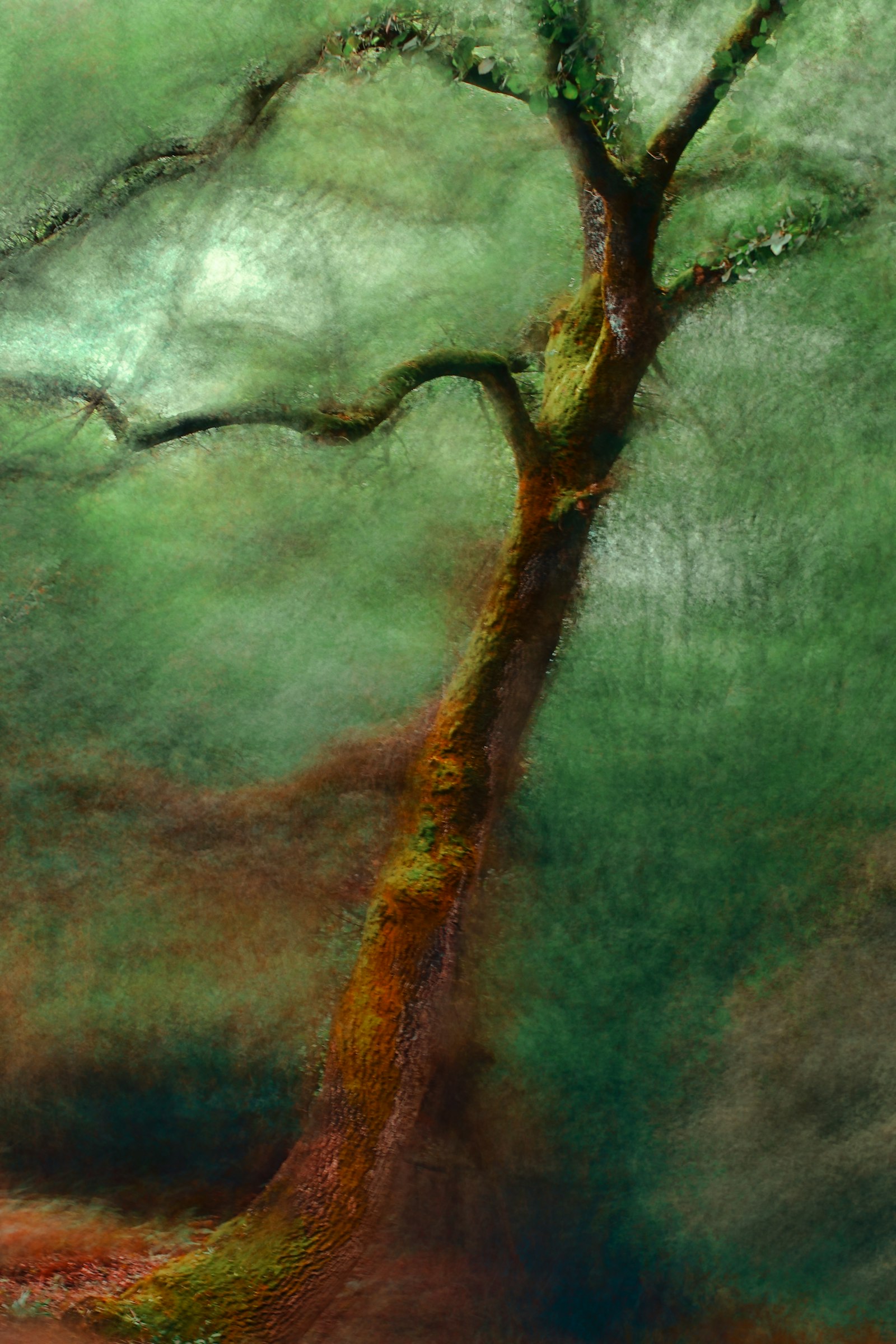 Olympus E-620 (EVOLT E-620) sample photo. Tree painting wall decor photography