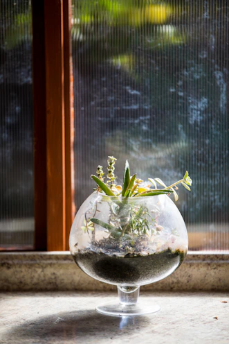 A round glass terrarium featuring tiny cacti and colorful pebbles, glowing softly in natural light.