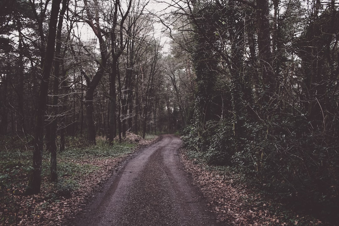 mountain trail