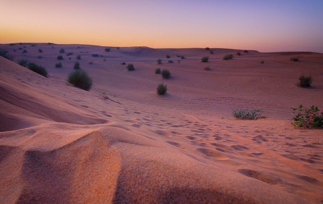 Desert photo spot Desert Safari Dubai - Best Dune Bashing Safari - Dubai - United Arab Emirates Al Khan