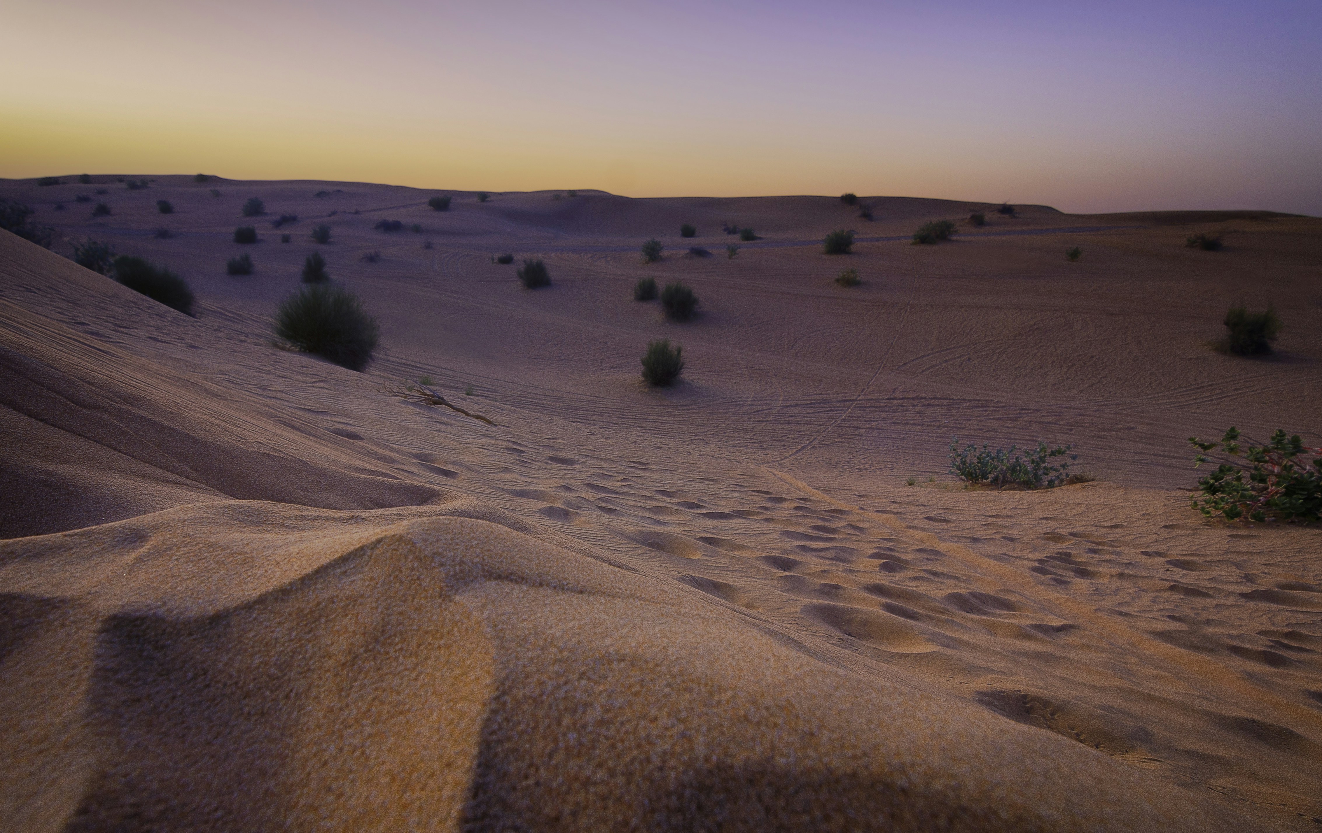 Follow me instagram: https://www.instagram.com/kent.tupas/ Taken during my first desert safari experience in Dubai, United Arab Emirates.