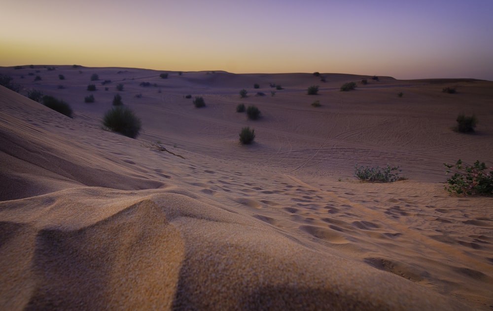 Photographie du désert