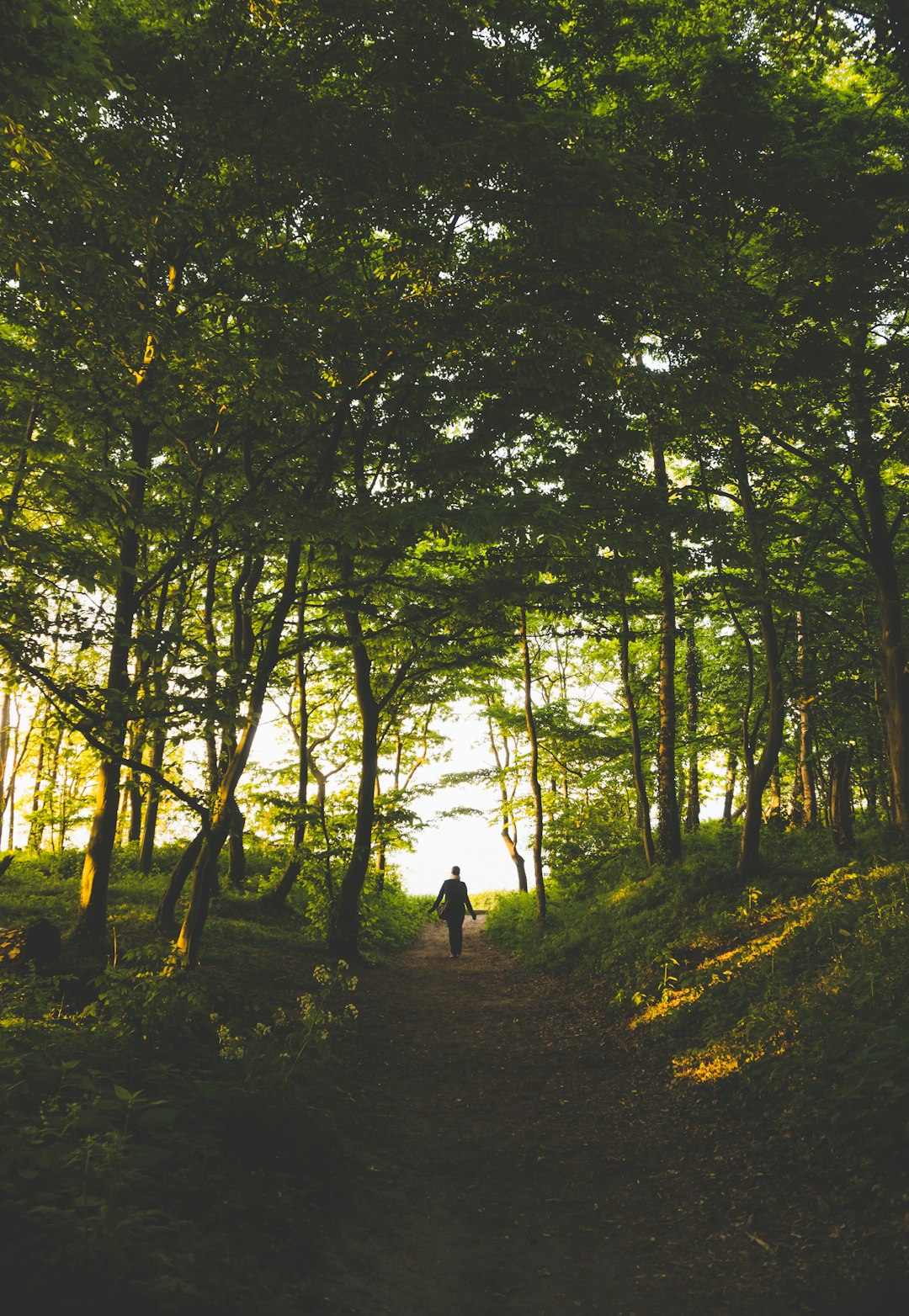 travelers stories about Forest in "Stoltera", Germany