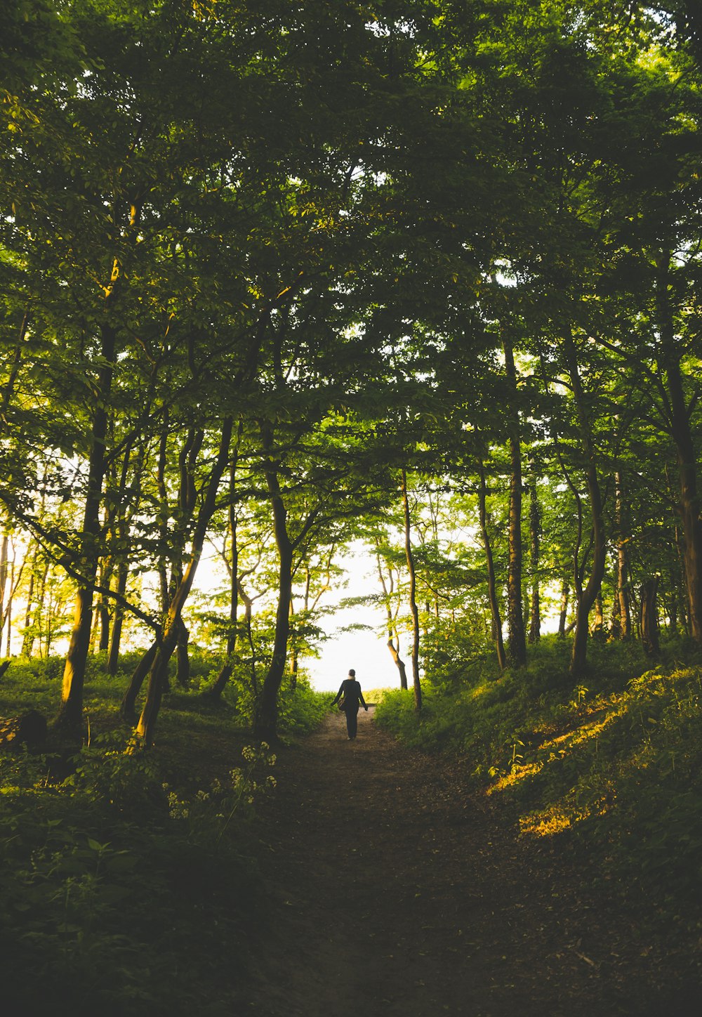 person standing in woods