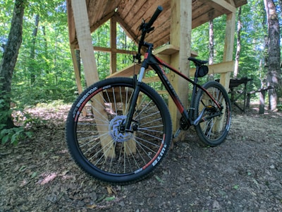 A mountain bike is leaning against a wooden structure in a forest setting. The bike has a black and red color scheme and is parked on a dirt ground covered with leaves. The background is filled with dense green foliage with sunlight filtering through the trees.
