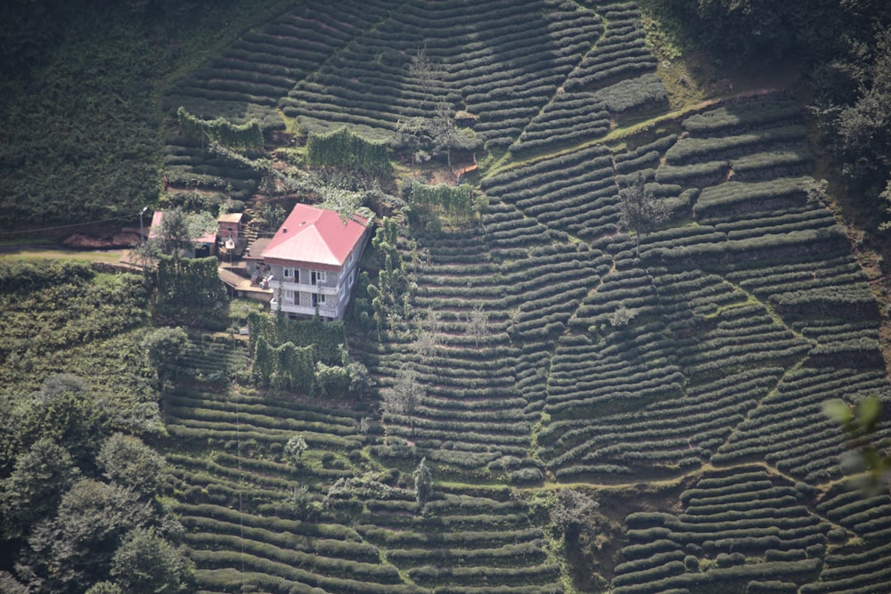 aerial view of house at the farm