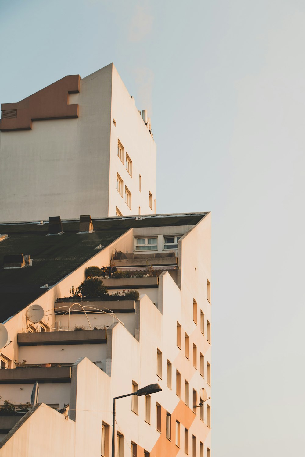 white concrete building