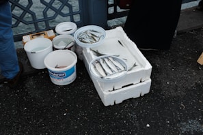 A collection of fish is placed in white plastic trays and white buckets, some filled with water, on a dark wet pavement next to a blue railing. The scene suggests a fresh catch by either a market vendor or a fisherman.