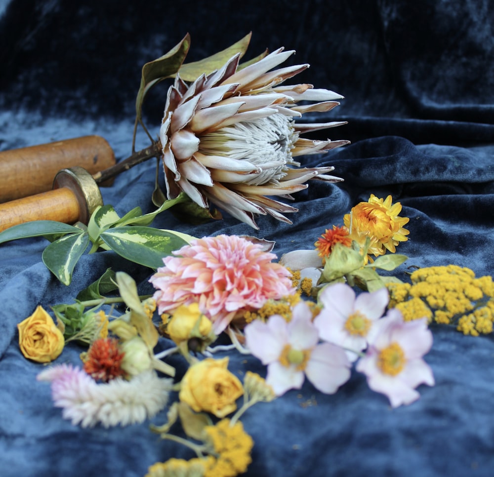 assorted-color petaled flowers