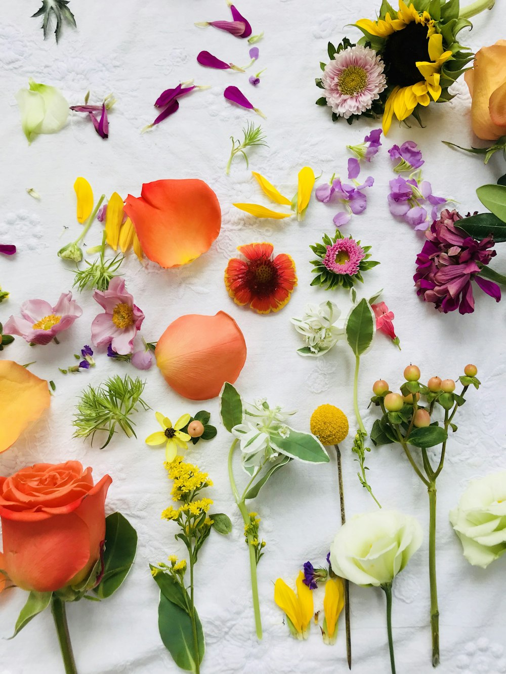 assorted-type flowers