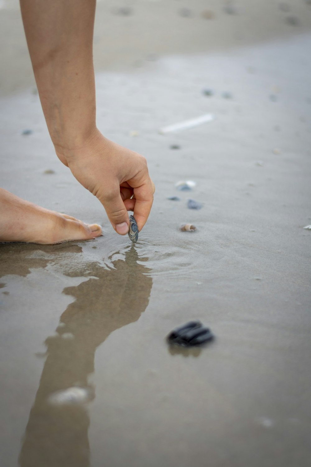 person holding gray pebble