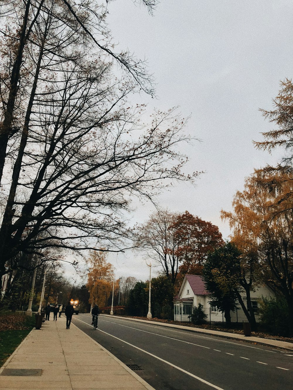 people walking on street sideway near trees during daytime