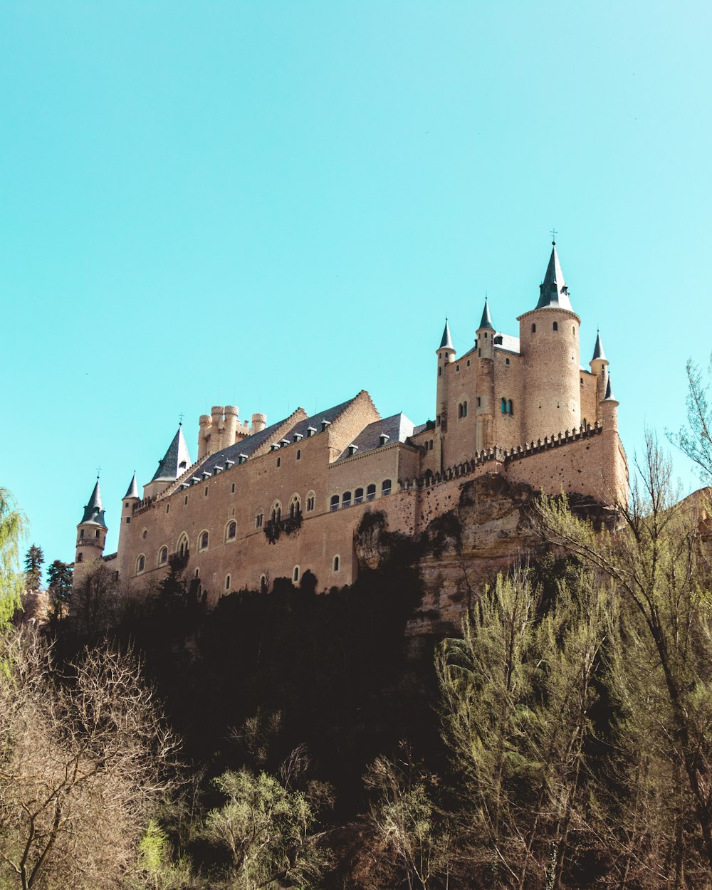 brown castle on hills