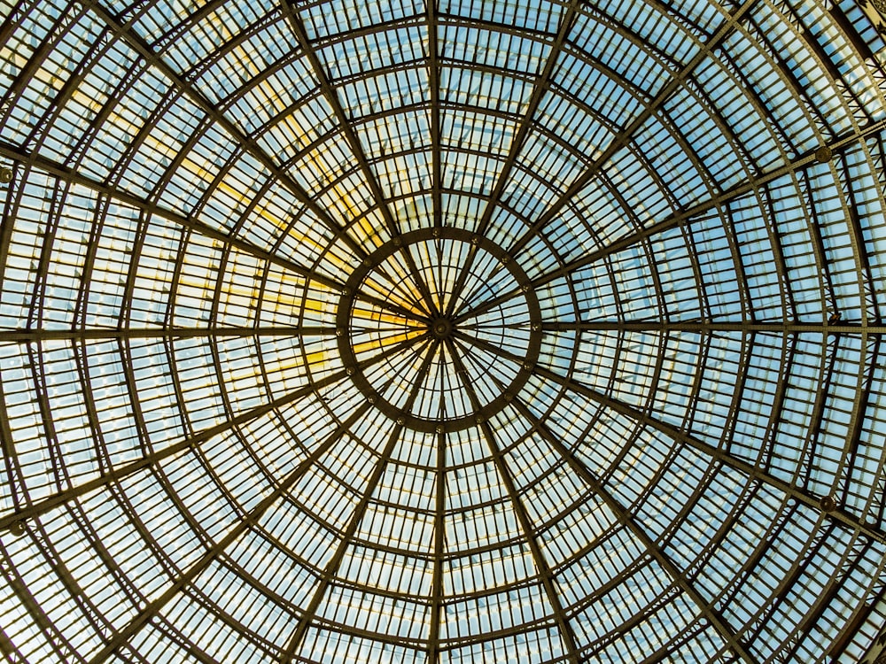 brown metal framed glass dome ceiling