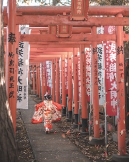 red Chinese ark