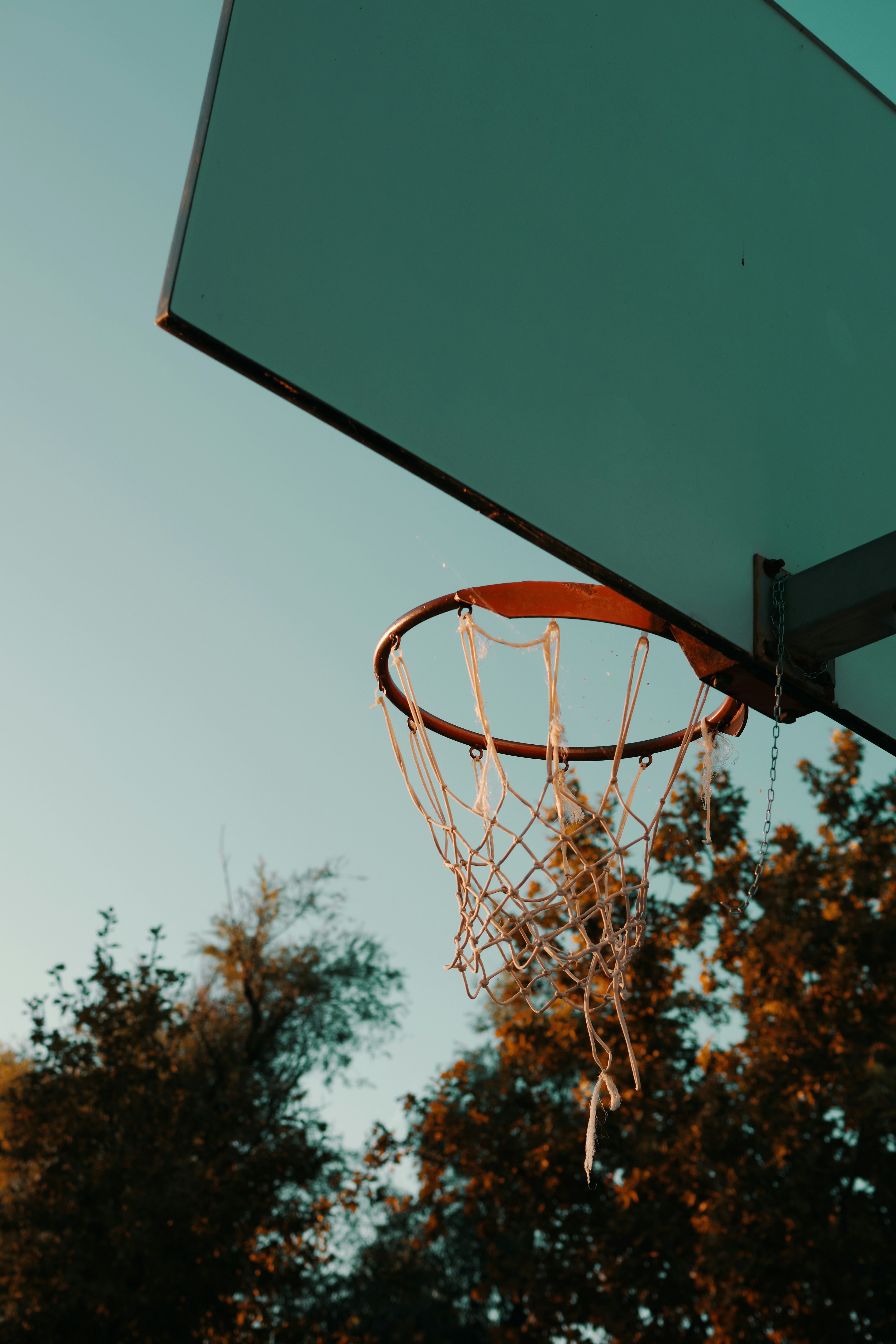 Black basketball hoop photo Free Hungary Image on Unsplash