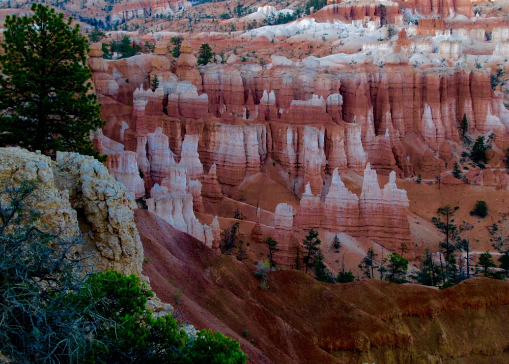 brown mountain during daytime