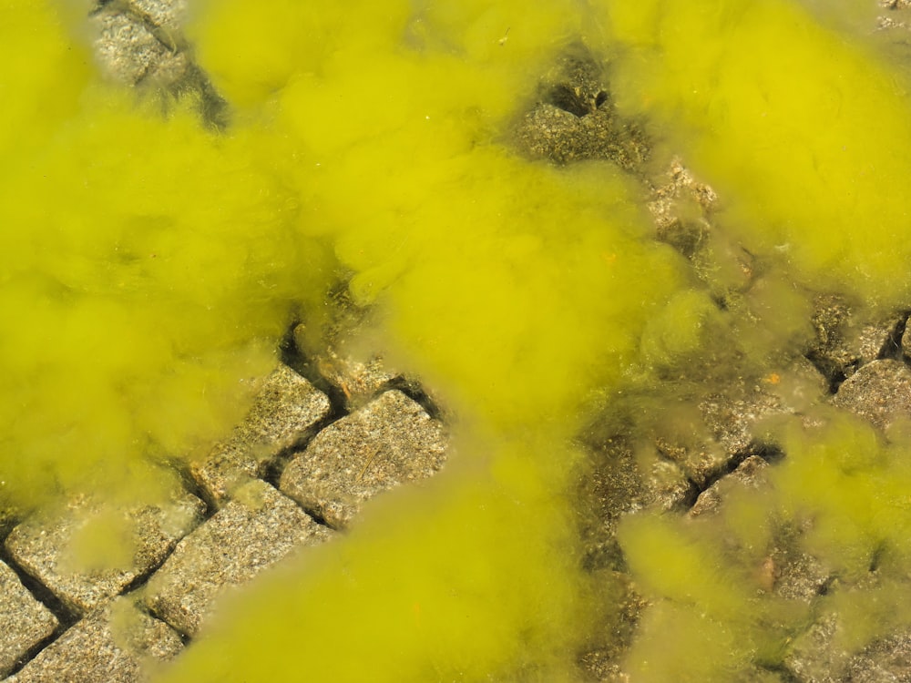 yellow smoke over grey concrete