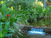A serene backyard landscape featuring colorful flowers and a small water fountain.