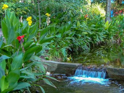 A serene garden scene featuring vibrant crystal blooms among lush greenery.